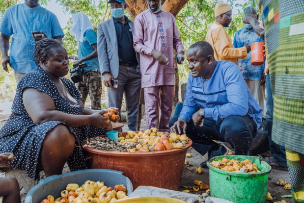 Papa Amadou Sarr, Délégué général de la Der/Fj :   « Notre modèle marche parce que son offre est globale et intégrée avec du financement, de la formalisation et de la formation »