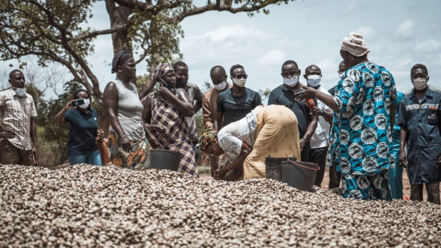 Papa Amadou Sarr, Délégué général de la Der/Fj :   « Notre modèle marche parce que son offre est globale et intégrée avec du financement, de la formalisation et de la formation »