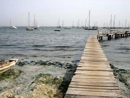 Baie de Hann : Pape Diouf annonce des taxes contre les pollueurs Baie de Hann : Pape Diouf annonce des taxes contre les pollueurs