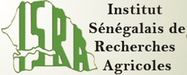 Développement de la recherche agricole : Macky Sall demande « l’actualisation » de l’Isra Développement de la recherche agricole : Macky Sall demande « l’actualisation » de l’Isra