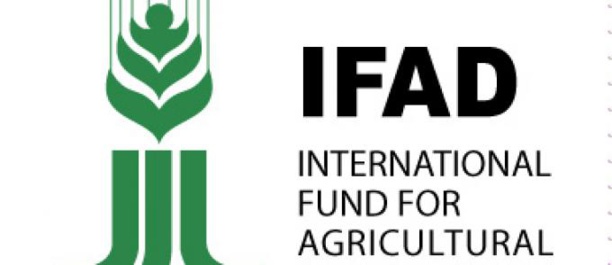 Fonds international de développement agricole :  Les Etats membres invités à proposer des candidats à la présidence
