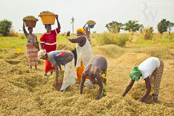 Discours à la Nation : Macky Sall appelle à gagner la bataille de la souveraineté alimentaire