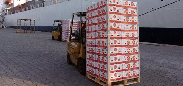 Terminal fruitier du port d'Abidjan Terminal fruitier du port d'Abidjan