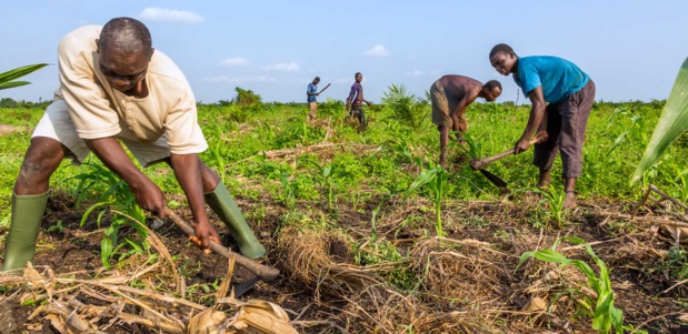 Nouveaux accords de financement : Le Fida accompagne le Sénégal pour aider les populations rurales