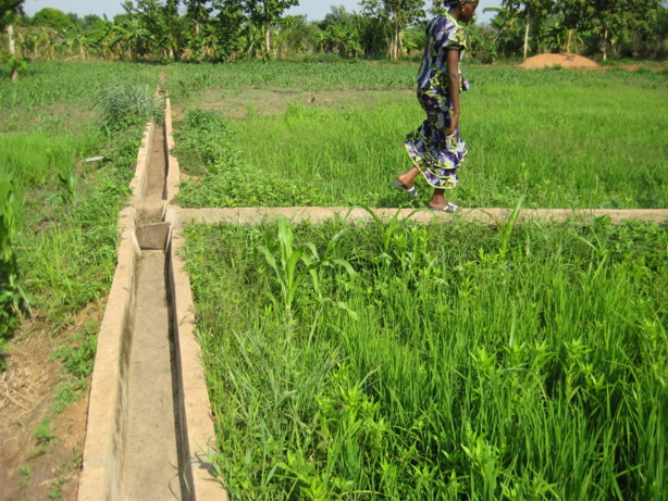 Matam: la BADEA prête 15,5 milliards FCFA pour des projets agricoles Matam: la BADEA prête 15,5 milliards FCFA pour des projets agricoles