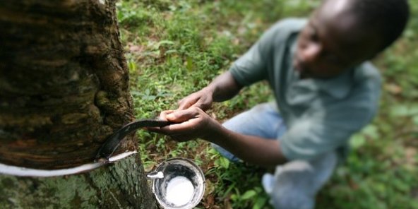 Côte d’Ivoire : La SAPH réalise un résultat net de 20,750 milliards de FCFA en 2021 Côte d’Ivoire : La SAPH réalise un résultat net de 20,750 milliards de FCFA en 2021