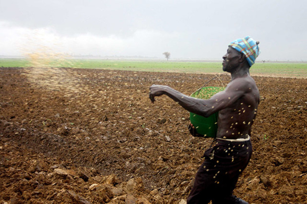 Lutte contre l’insécurité alimentaire : Une responsable de la Banque mondiale appelle à anticiper et à déployer des réponses précoces Lutte contre l’insécurité alimentaire : Une responsable de la Banque mondiale appelle à anticiper et à déployer des réponses précoces
