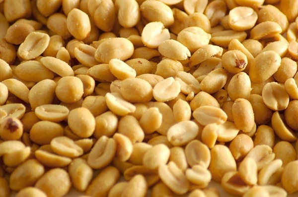 Sénégal: une société chinoise construira une unité de transformation d'arachides Sénégal: une société chinoise construira une unité de transformation d'arachides