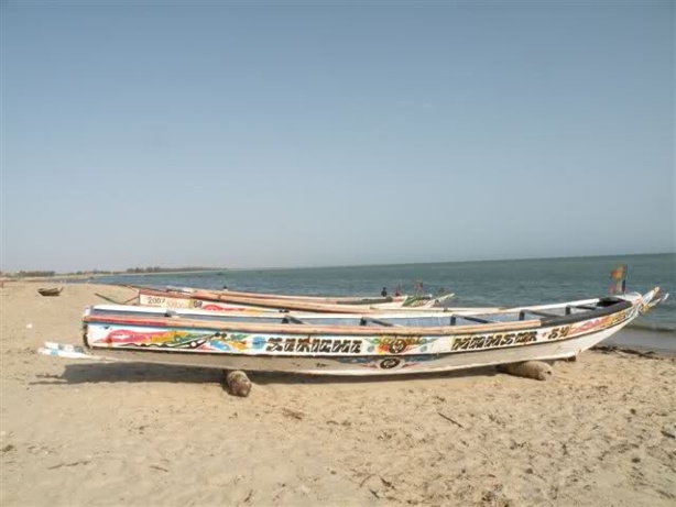 Pointe Sarène : plaidoyer pour le dialogue autour du litige foncier entre l'Etat et les investisseurs Pointe Sarène : plaidoyer pour le dialogue autour du litige foncier entre l'Etat et les investisseurs