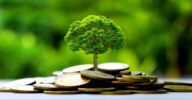 DÉPUTÉS, CONSEILLERS ET HAUT CONSEILLERS SENSIBILISÉS SUR LA FINANCE CLIMATIQUE DÉPUTÉS, CONSEILLERS ET HAUT CONSEILLERS SENSIBILISÉS SUR LA FINANCE CLIMATIQUE