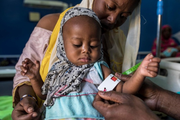 Assistance alimentaire et nutritionnelle au Sénégal : Un projet de 9,6 milliards de FCA  lancé ce jeudi