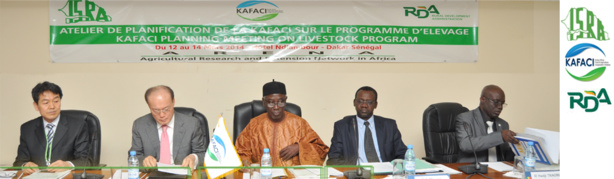 Recherche Agricole : La technologie agricole doit être économiquement rentable selon le Directeur général de l’ISRA Alioune Fall Recherche Agricole : La technologie agricole doit être économiquement rentable selon le Directeur général de l’ISRA Alioune Fall