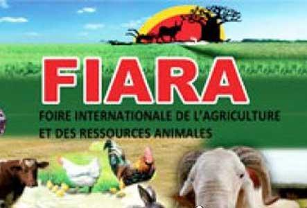 FIARA EDITION 2014 : Les exposants relèvent un manque d’organisation FIARA EDITION 2014 : Les exposants relèvent un manque d’organisation