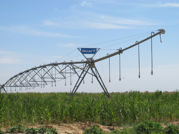 Développement de l’irrigation : CMGP CAS « apporte des solutions » avec l’installation de sa  filiale CMGP Sénégal