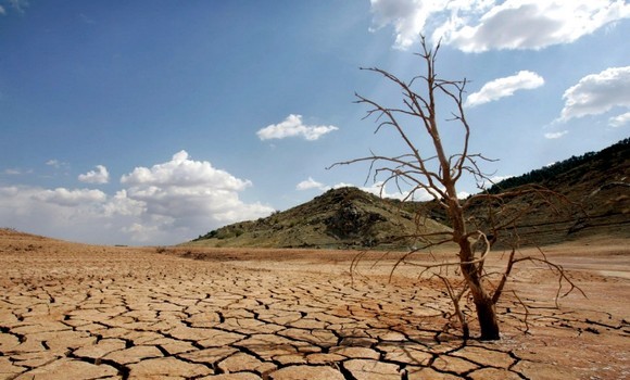 Lutte contre la désertification : Des experts soulignent l’importance de financer l’action sur la terre
