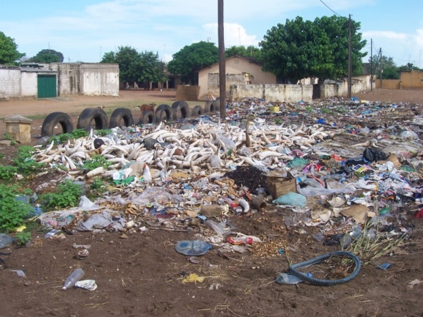ENVIRONNEMENT : Plus de 800 millions FCFA pour la gestion des déchets à Tivaouane et Ziguinchor ENVIRONNEMENT : Plus de 800 millions FCFA pour la gestion des déchets à Tivaouane et Ziguinchor