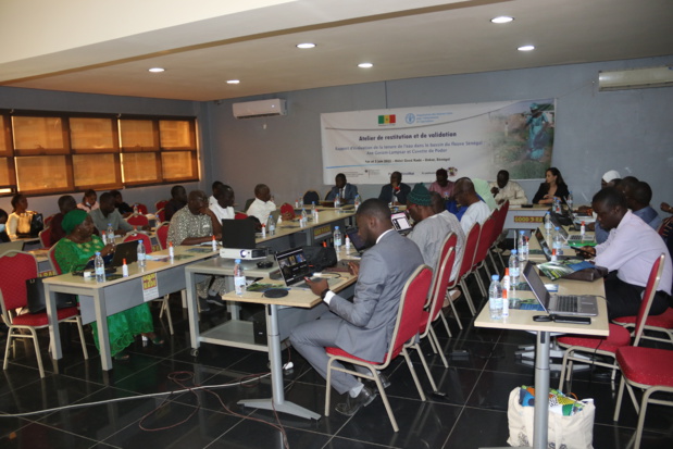 Bassin du Fleuve Sénégal : La Fao et ses partenaires planchent sur la validation du rapport d’évaluation de la tenure de l’eau