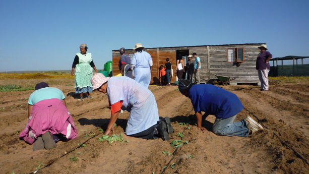 Afrique: Cadres de politique foncière efficaces - clé des modèles d'investissement inclusif Afrique: Cadres de politique foncière efficaces - clé des modèles d'investissement inclusif