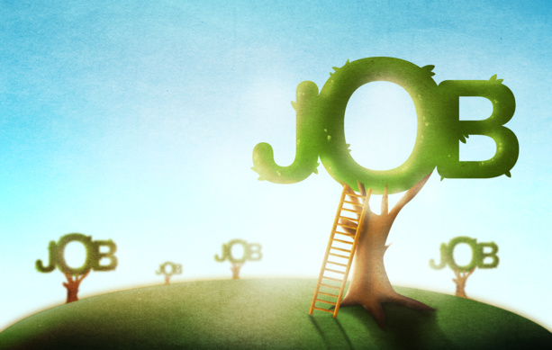 Le BIT s’engage à soutenir les emplois verts décents à travers la formation Le BIT s’engage à soutenir les emplois verts décents à travers la formation