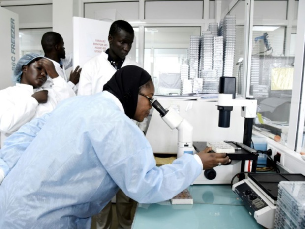Production de vaccins : La Bei octroie un financement de 75 millions d’euros à l’Institut Pasteur de Dakar Production de vaccins : La Bei octroie un financement de 75 millions d’euros à l’Institut Pasteur de Dakar