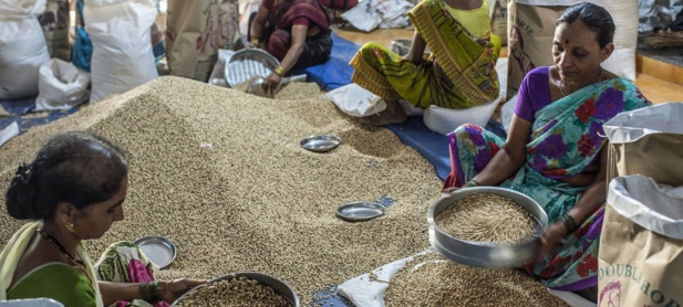 Crédit photo : FAO/Atu Loke Des ouvriers trient des céréales sur le marché de l'APMC à Mumbai, en Inde (photo d'archives).