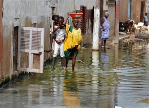 Une enveloppe de 8 milliards destinée à des projets de  restructuration de zones inondables à partir de 2014, selon Khadim Diop.