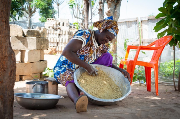 Fonds international de développement agricole : Deux vice-présidents adjoints en visite au Sénégal et en Gambie Fonds international de développement agricole : Deux vice-présidents adjoints en visite au Sénégal et en Gambie