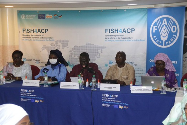 Chaine de valeur des huîtres au Sénégal :  Lancement de la stratégie de mise à niveau de la filière