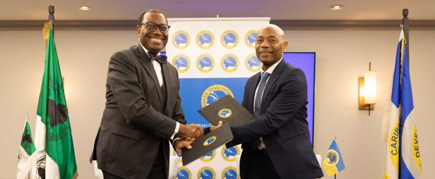 Afrique-Caraïbes : Renforcement des relations à travers les banques de développement