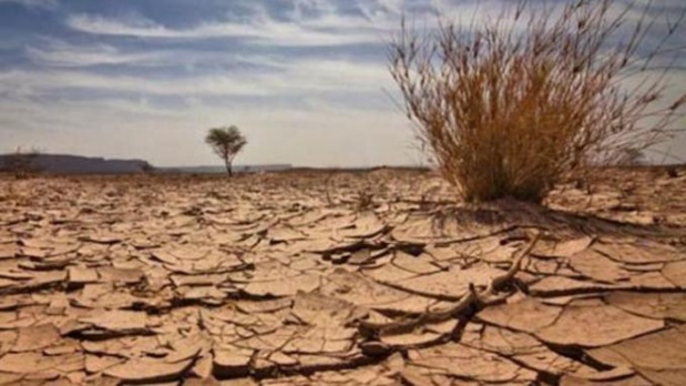 Comment vendre l'action climatique à l'Afrique