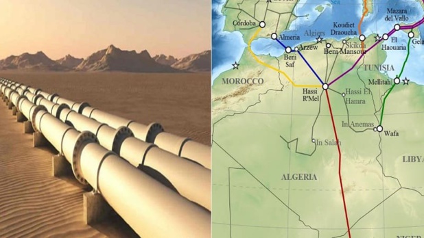 Projet de gazoduc transsaharien : Un groupe de travail et une feuille de route établis par le Niger, le Nigeria et l’Algérie Projet de gazoduc transsaharien : Un groupe de travail et une feuille de route établis par le Niger, le Nigeria et l’Algérie