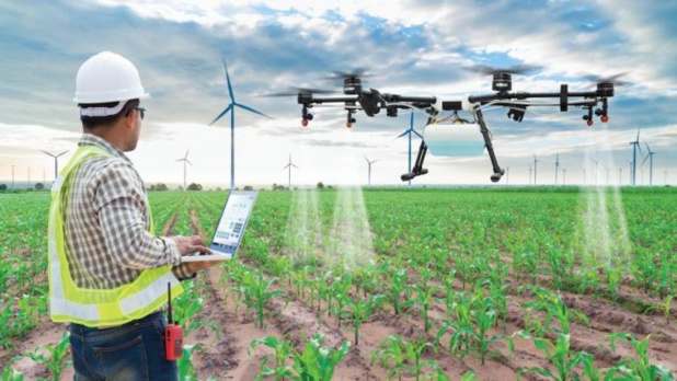 Afrikamart : Le leader de l’agritech lève 850 mille dollars auprès du bloc Smart Africa