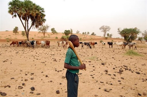 Afrique: Négociations sur le changement climatique et 2014 et 2015 - Les PMA francophones harmonisent leur position à dakar Afrique: Négociations sur le changement climatique et 2014 et 2015 - Les PMA francophones harmonisent leur position à dakar