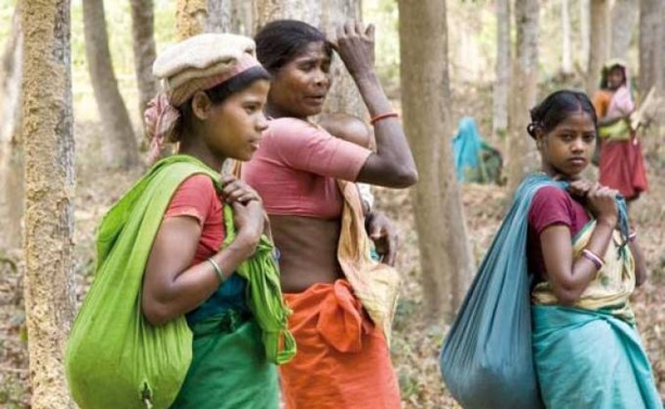 SENEGAL : Les politiques mises en œuvre pour réduire la pauvreté restent encore mitigées SENEGAL : Les politiques mises en œuvre pour réduire la pauvreté restent encore mitigées