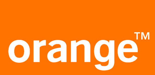 TIC : Le premier centre incubateur de PME ouvert au Niger par Orange TIC : Le premier centre incubateur de PME ouvert au Niger par Orange