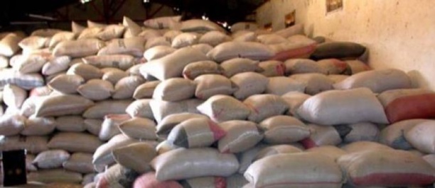 L’importation de riz contribue pour 16% au déficit de la balance commerciale L’importation de riz contribue pour 16% au déficit de la balance commerciale