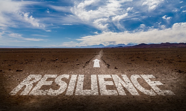 Le nouveau paradigme de la résilience