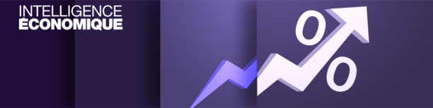 L’Intelligence Economique comme réponse aux problématiques de Développement L’Intelligence Economique comme réponse aux problématiques de Développement