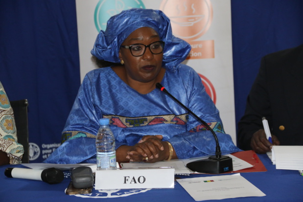 Formation sur la Biosécurité : La FAO renforce les capacités des femmes vétérinaires Formation sur la Biosécurité : La FAO renforce les capacités des femmes vétérinaires