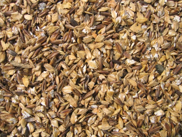 L'amélioration des perspectives pour la plupart des denrées se répercute sur les prix, selon FAO L'amélioration des perspectives pour la plupart des denrées se répercute sur les prix, selon FAO