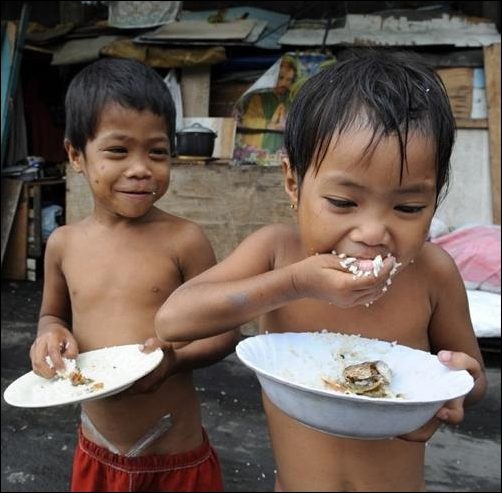La FAO et l'OMS demandent un engagement politique ferme pour affronter la malnutrition La FAO et l'OMS demandent un engagement politique ferme pour affronter la malnutrition