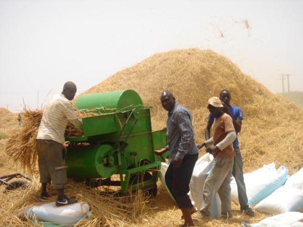 Qualité du riz de la vallée : des efforts sont encore à faire Qualité du riz de la vallée : des efforts sont encore à faire