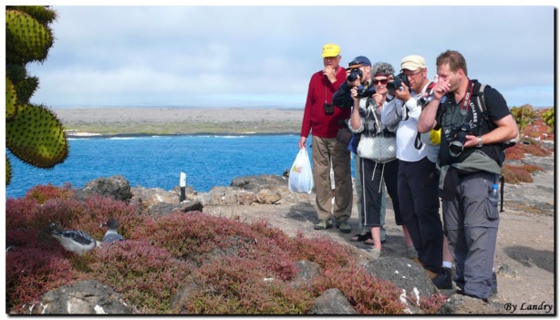 Deux mille touristes hollandais attendus sur le sol sénégalais cette année Deux mille touristes hollandais attendus sur le sol sénégalais cette année