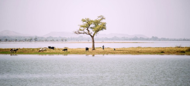 CIFOR/Olivier Girard Le lac Bam, dans la région Centre-Nord du Burkina Faso, à une centaine de kilomètres de Ouagadougou, connaît d’énormes défis environnementaux.