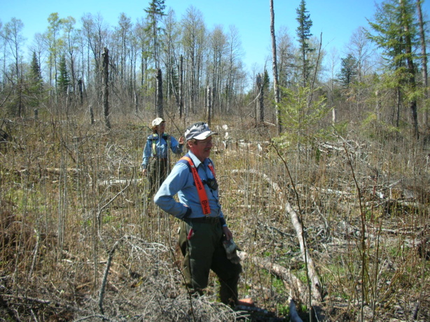FAO : Nouvelle feuille de route en faveur des petits producteurs forestiers et agricoles FAO : Nouvelle feuille de route en faveur des petits producteurs forestiers et agricoles