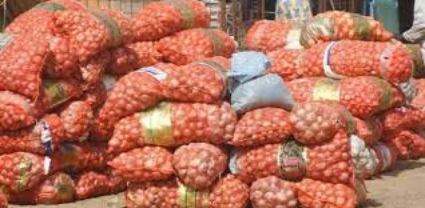SENEGAL: L'Etat doit accompagner les producteurs locaux SENEGAL: L'Etat doit accompagner les producteurs locaux