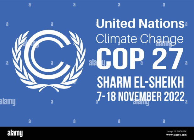 Sommet sur le climat de Charm El Cheikh en Egypte : Pour d'authentiques réponses Africaines aux enjeux et défis du climat …
