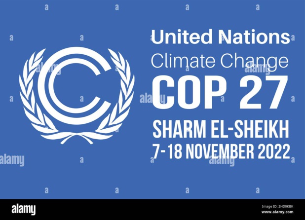 Sommet sur le climat de Charm El Cheikh en Egypte : Pour d'authentiques réponses Africaines aux enjeux et défis du climat …