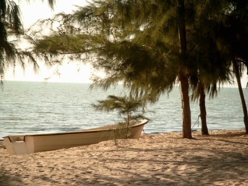 RELANCE DU SECTEUR DU TOURISME AU SENEGAL : DES SUD-AFRICAINS LORGNENT LES SITES DE JOAL FINIO, MBODIÈNE ET POINTE SARÈNE RELANCE DU SECTEUR DU TOURISME AU SENEGAL : DES SUD-AFRICAINS LORGNENT LES SITES DE JOAL FINIO, MBODIÈNE ET POINTE SARÈNE