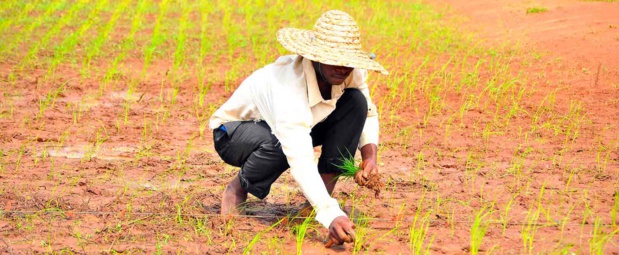 Mobilisation de financements pour les Odd : Le Fonds africain de développement va apporter une garantie partielle de crédit pour le Bénin Mobilisation de financements pour les Odd : Le Fonds africain de développement va apporter une garantie partielle de crédit pour le Bénin